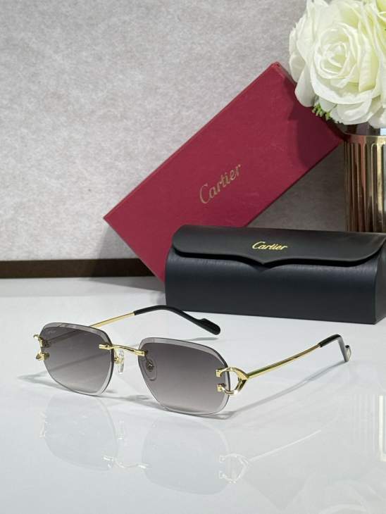 Picture of Cartier Sunglasses _SKUfw77816358fw